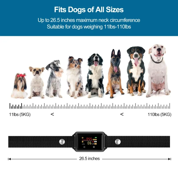 B801 Bark Control Collar: Effective & Humane