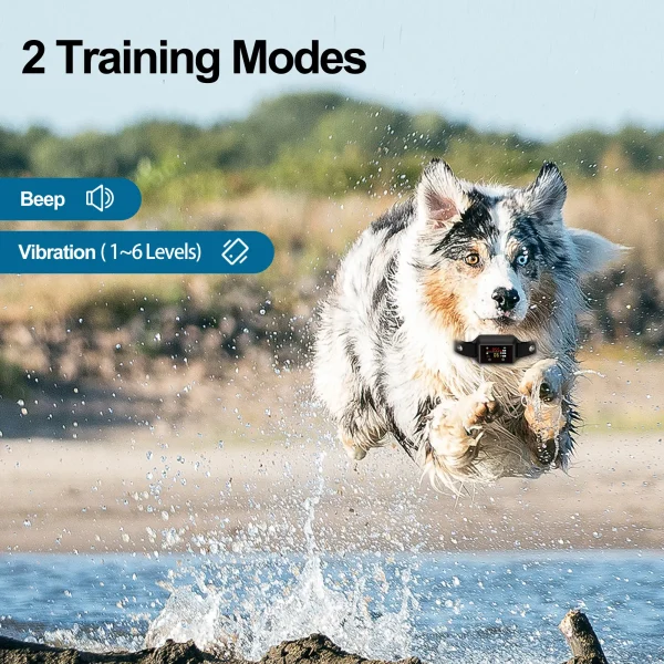 B801 Bark Control Collar: Effective & Humane