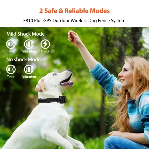 F810 Wireless Dog Fence: Freedom & Safety