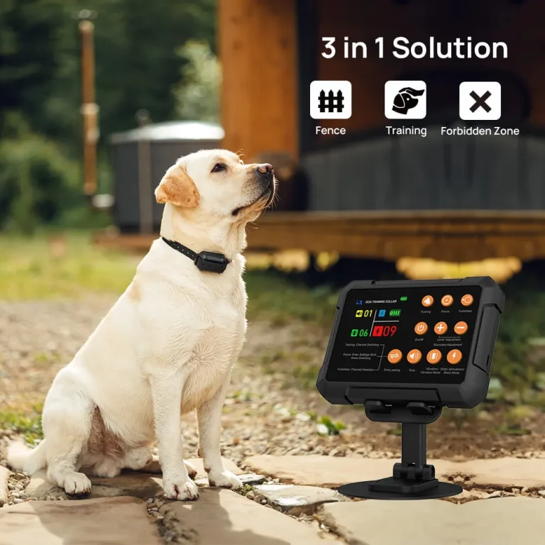 F900Plus-Wireless-Dog-Fence-2