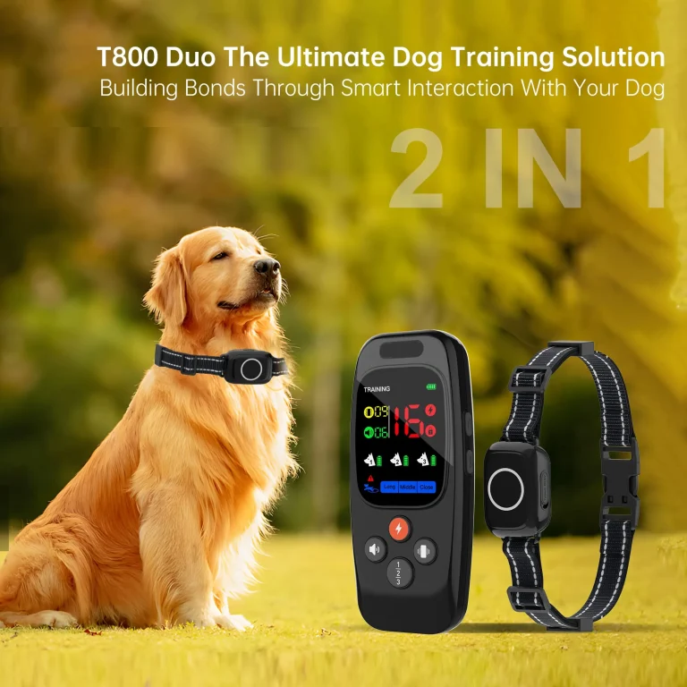 T800Plus Training Collar: Advanced & Effective