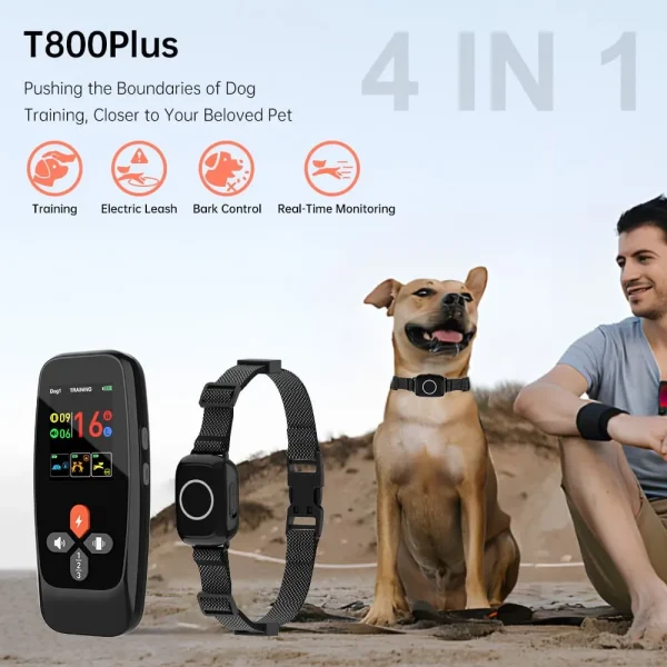 T800Plus Training Collar: Advanced & Effective