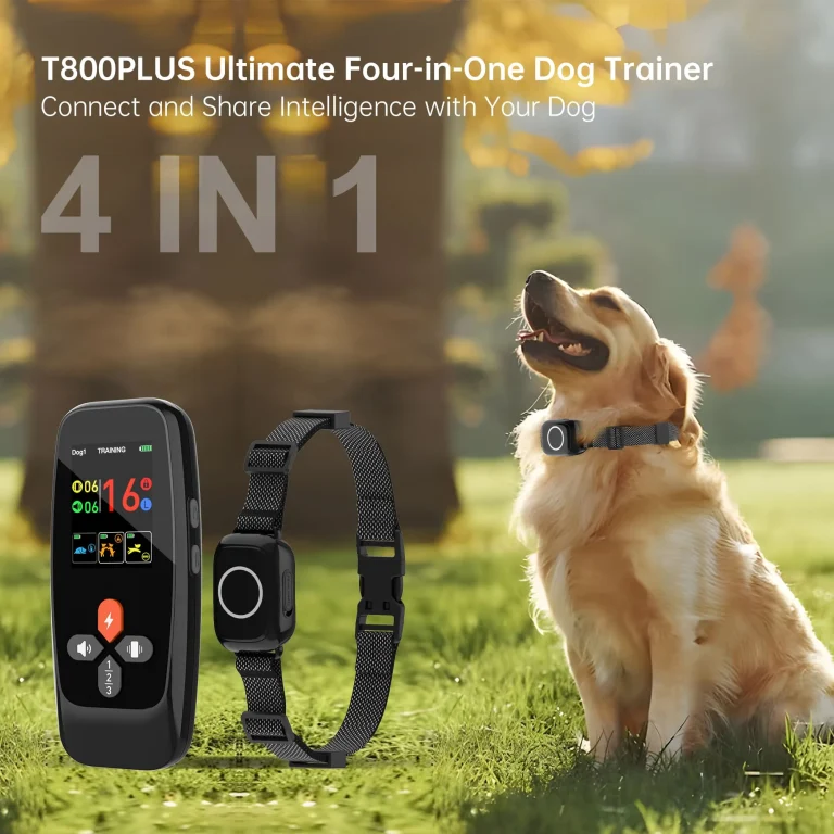 T800Plus Training Collar: Advanced & Effective