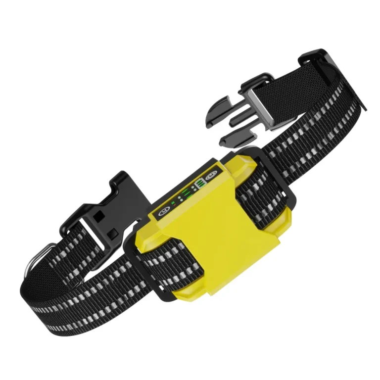 B600-B601-Bark-Training-Collar-1