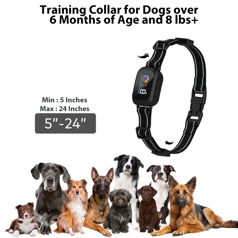 B630 Bark Control Collar: Gentle & Effective