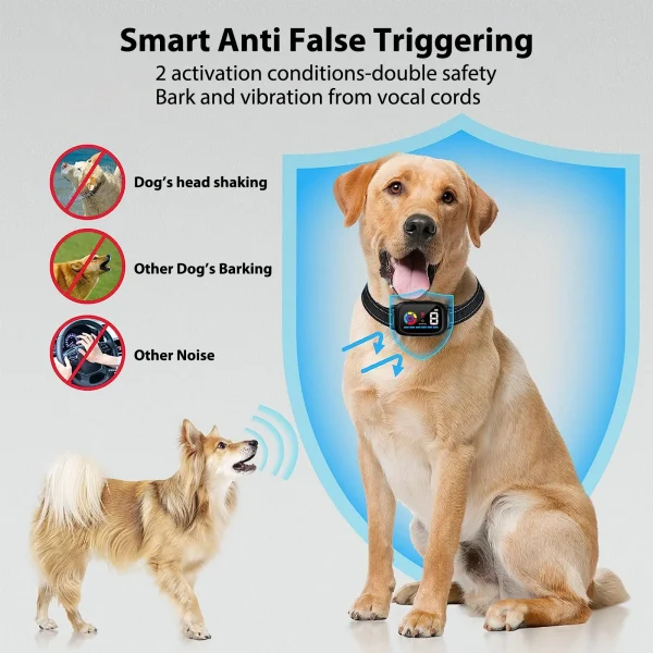 B630 Bark Control Collar: Gentle & Effective