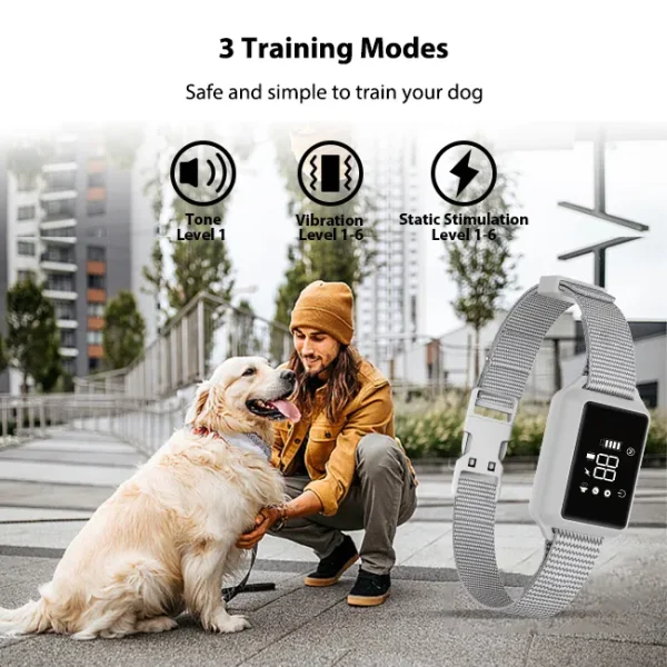 B800C-B801C Training Collar: Effective & Humane Training