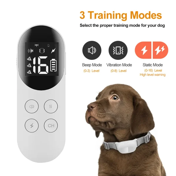 Effective Dog Training Collar for Obedience