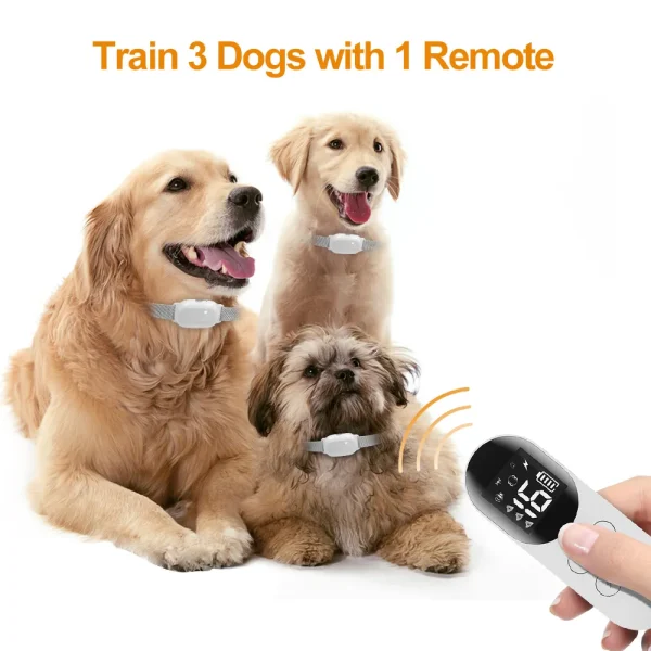 Effective Dog Training Collar for Obedience
