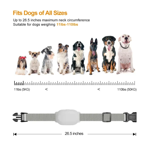 Effective Dog Training Collar for Obedience