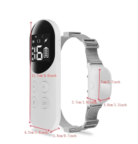 Effective Dog Training Collar for Obedience