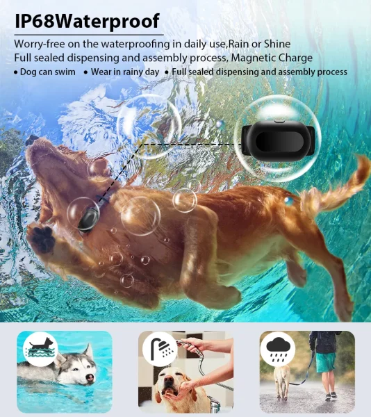 T300 Training Collar: Effective & Easy-to-Use