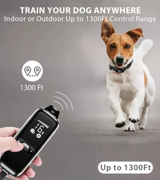 T300 Training Collar: Effective & Easy-to-Use