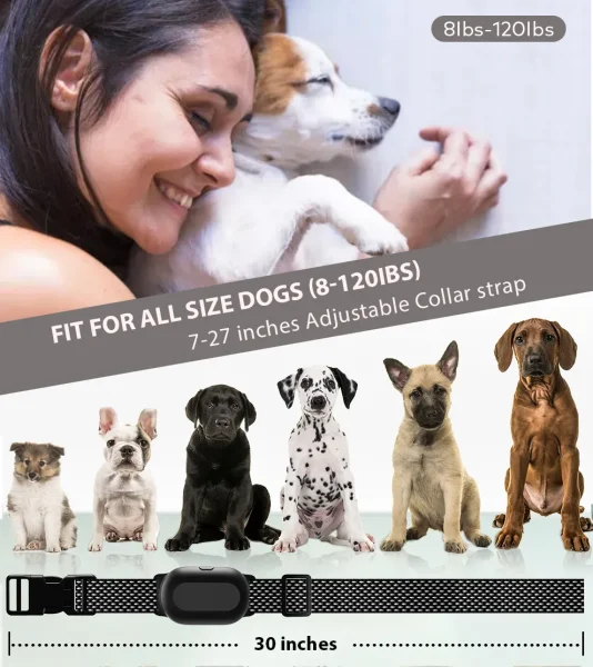 T300 Training Collar: Effective & Easy-to-Use