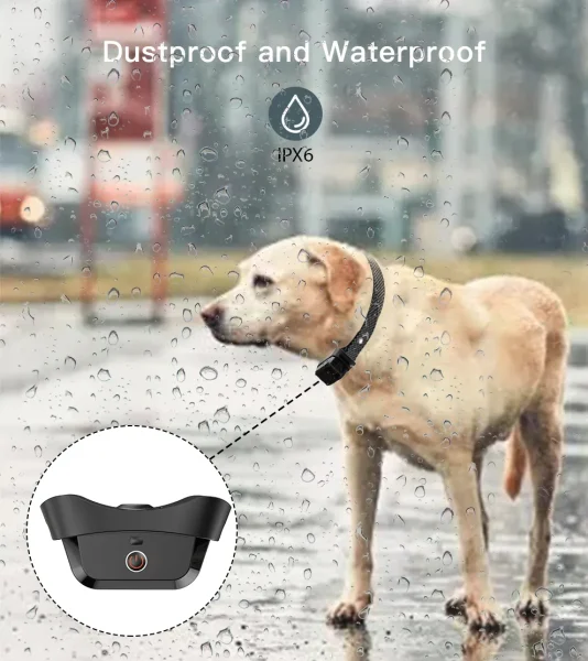 T510 Training Collar: Effective & Humane Training