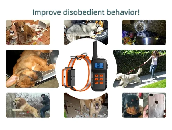 T720-T721 Training Collar: Advanced Training Solution