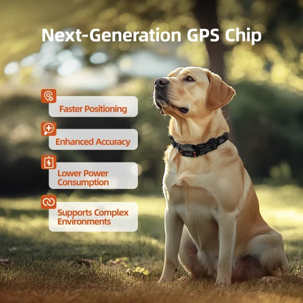 Wellturn F830 GPS dog fence system showing app interface and collar