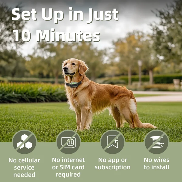 Wellturn F910 wireless dog fence system with base station and training collar