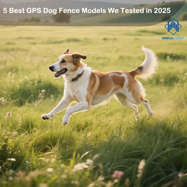 5 Best GPS Dog Fence Models We Tested in 2025