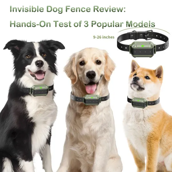Invisible Dog Fence Review: Hands-On Test of 3 Popular Models