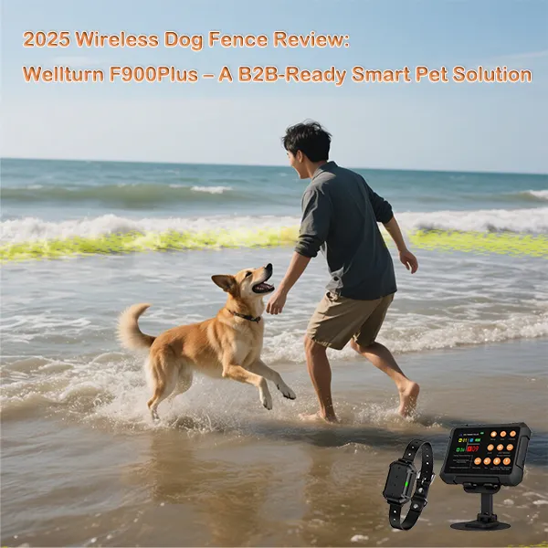 2025 Wireless Dog Fence Review: Wellturn F900Plus – A B2B-Ready Smart Pet Solution