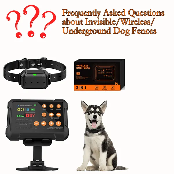 Wireless/Underground Dog Fences FAQ