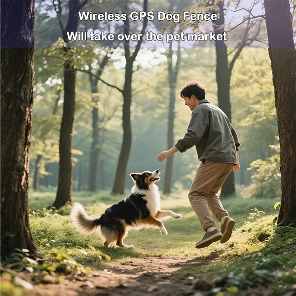 Wireless GPS Dog Fence