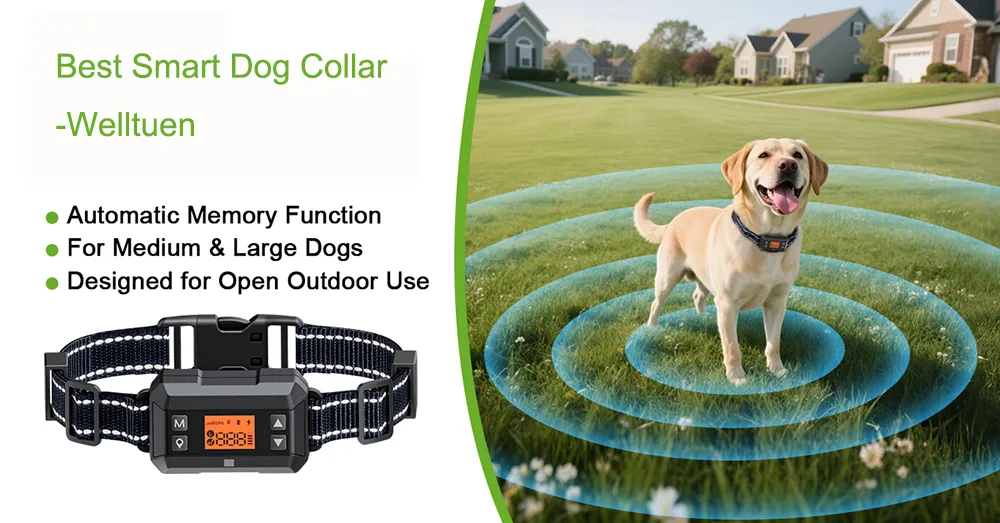 Best Smart Dog Collar-Welltuen