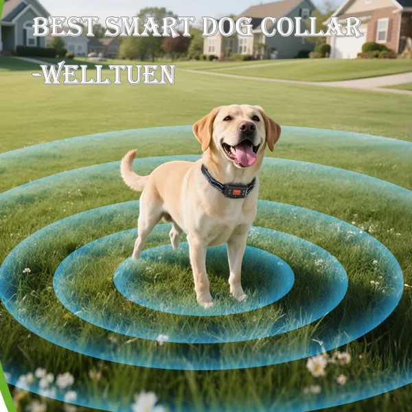 Welltuen -Best Smart Dog Collar
