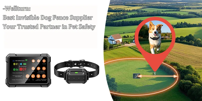 Best Electronic Dog Fences Supplier -Wellturn