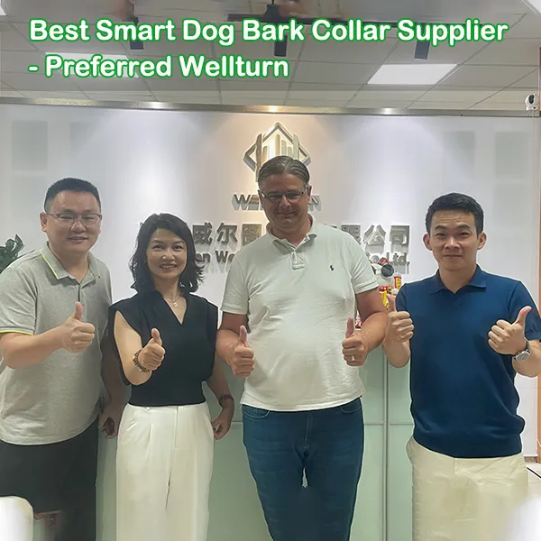 Best Invisible Dog Fence Supplier - Wellturn