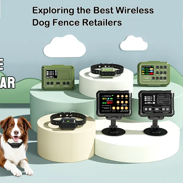 Exploring the Best Wireless Dog Fence Retailers