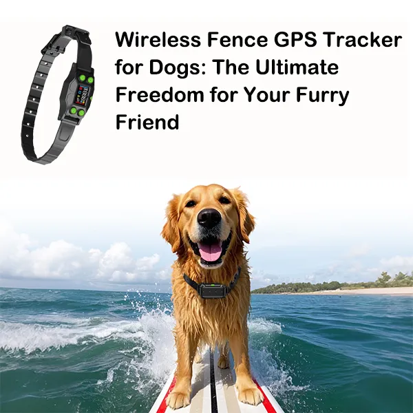 Wireless Fence GPS Tracker for Dogs-1
