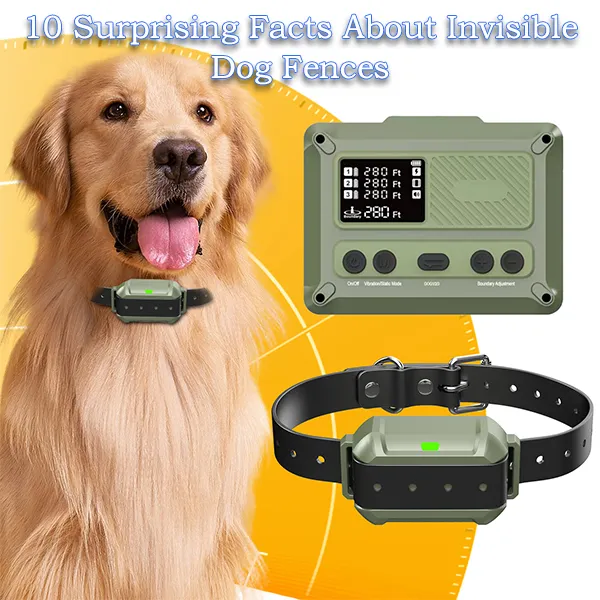 About Invisible Dog Fences