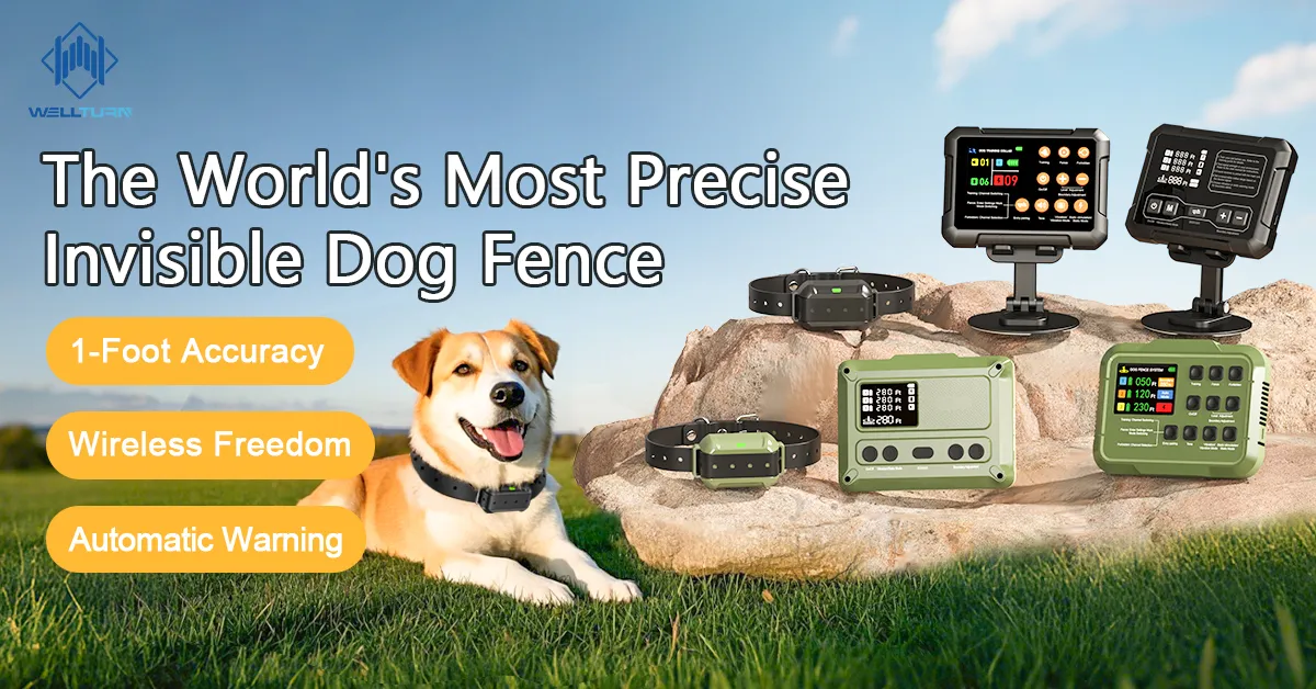 About Invisible Dog Fences