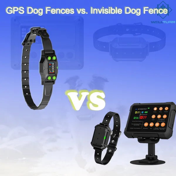 GPS Dog Fences vs. Invisible Dog Fence