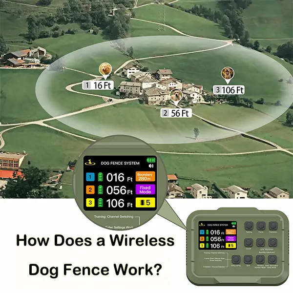 How Does a Wireless Dog Fence Work