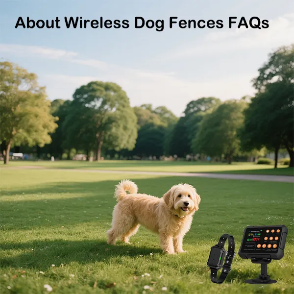 Wireless Dog Fences FAQs