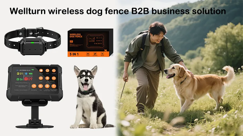 Wellturn wireless dog fence B2B