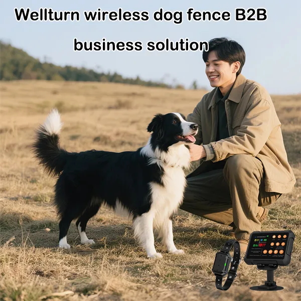 Wellturn wireless dog fence B2B business solution