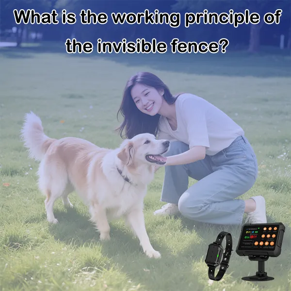 Radar invisible electronic fence and GPS electronic fence