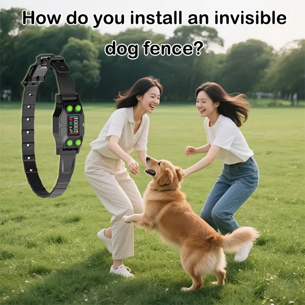 How do you install an invisible dog fence?