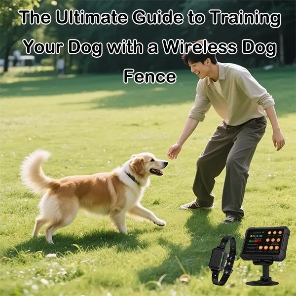 Does an invisible fence hurt the dog?