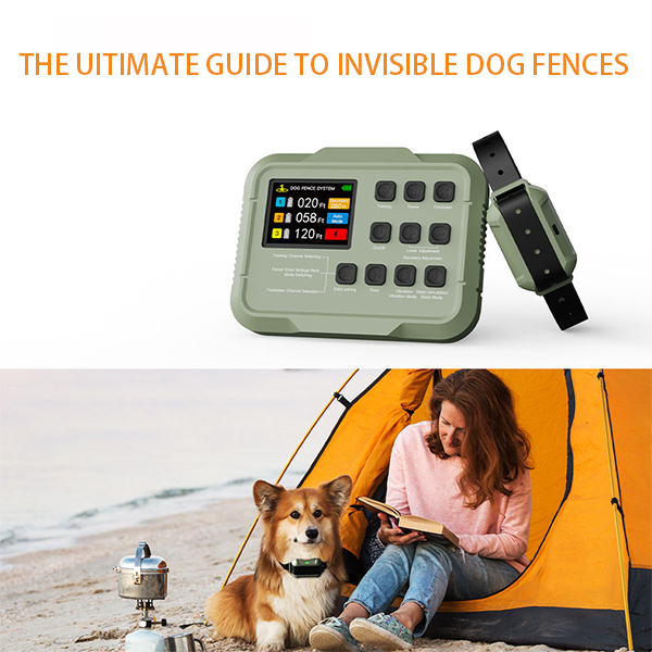 The Ultimate Guide to Invisible Dog Fences – How They Work and Why You Need One