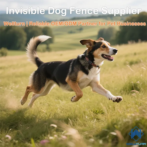 Invisible Dog Fence Supplier - Wellturn | Reliable OEM/ODM Partner for Pet Businesses