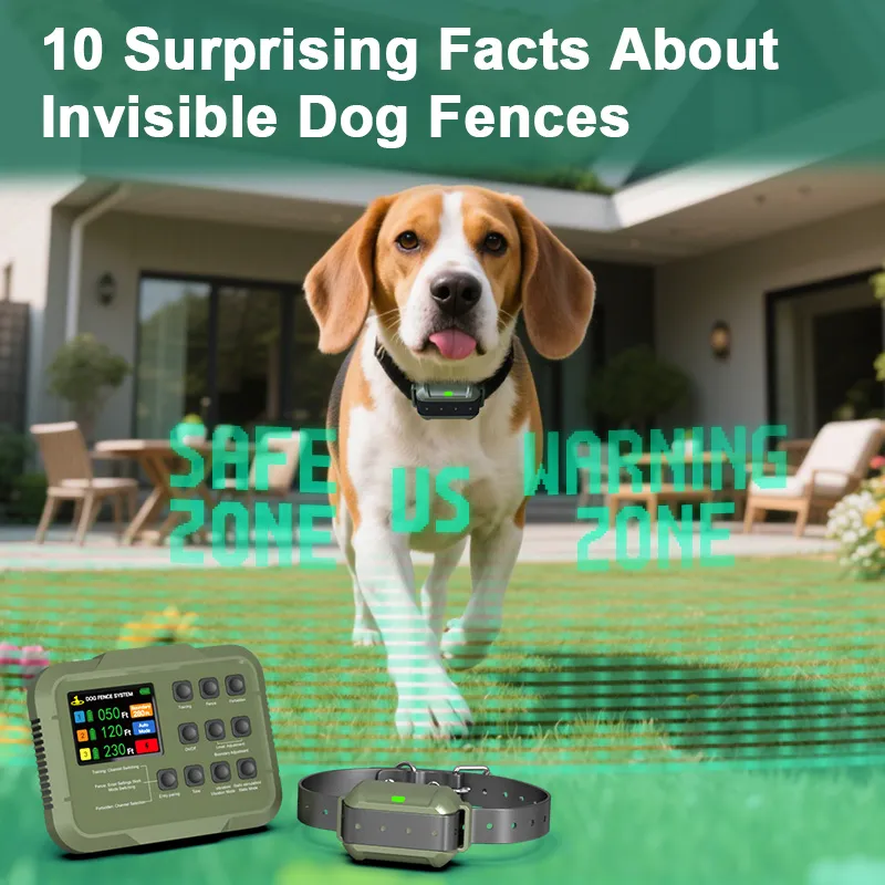 Invisible Dog Fences Unveiled: 10 Surprising Truths
