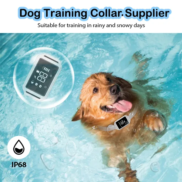 Wholesale Remote Dog Training Collars