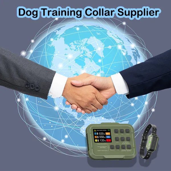 Dog Training Collar Supplier
