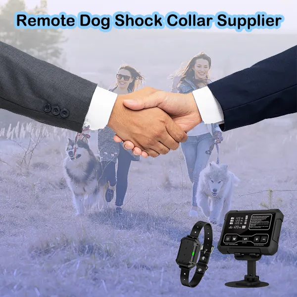 remote dog shock collar supplier