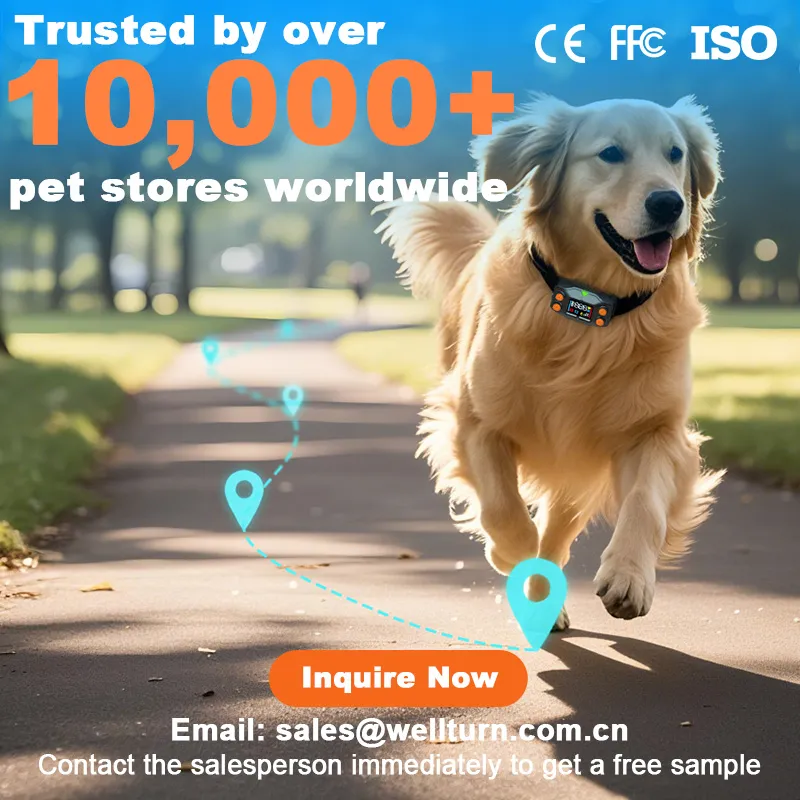 Best smart dog collar